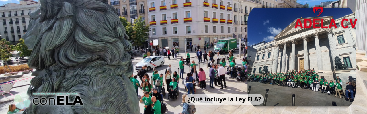 Qué incluye la ley ela Qué incluye la Ley ELA