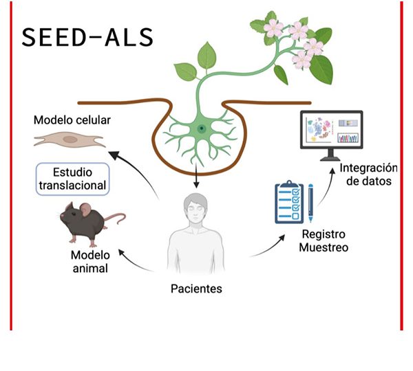 PLANTILLA FOTO PORTADA WEB-Recuperado PLANTILLA FOTO PORTADA WEB-Recuperado